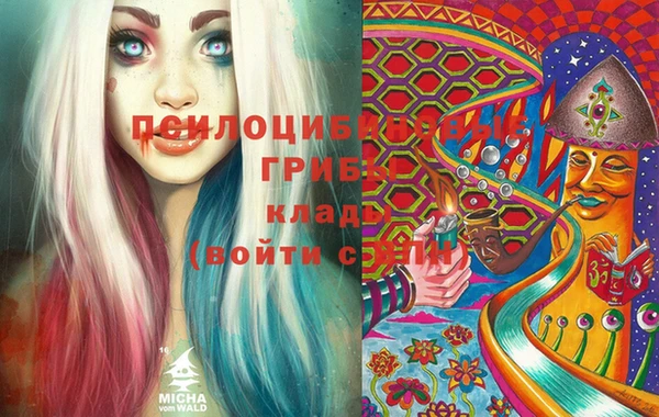 бошки Алексеевка