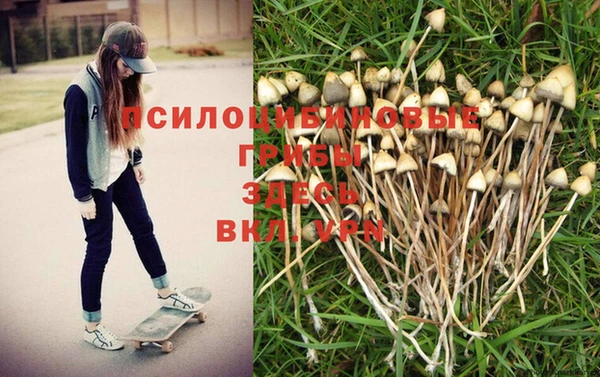 бошки Алексеевка