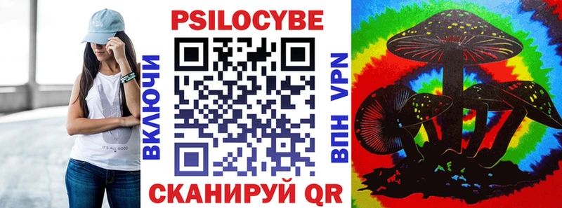 даркнет клад  kraken зеркало  Галлюциногенные грибы Psilocybe  Чадан  наркота 